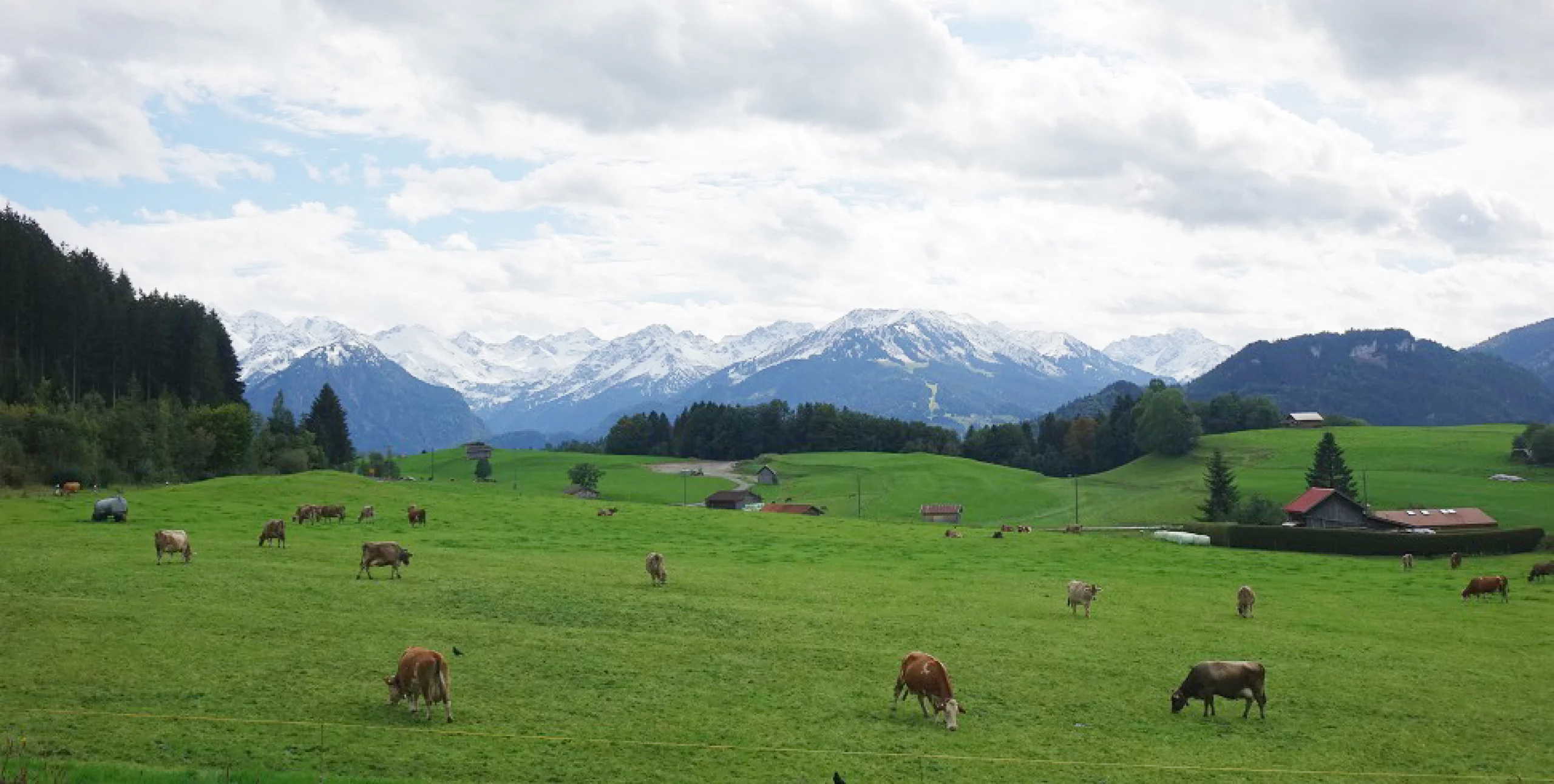 Panorama im Allgäu